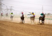 تولید ایرانیها گرانترین خرید حراج ارکانای فرانسه